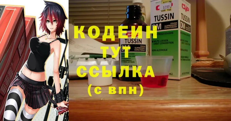 цена   Бологое  Codein Purple Drank 